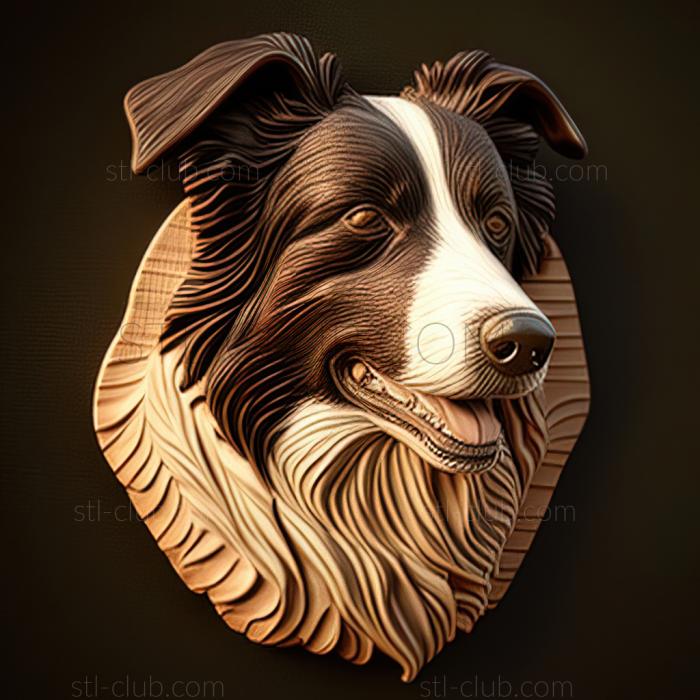 3D model st Border Collie dog (STL)